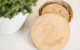 Platzhirsch Apart & Mayrhofen